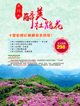 醉美杜鹃花旅游