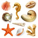 海洋生物矢量