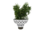 莲花台植物3d模型