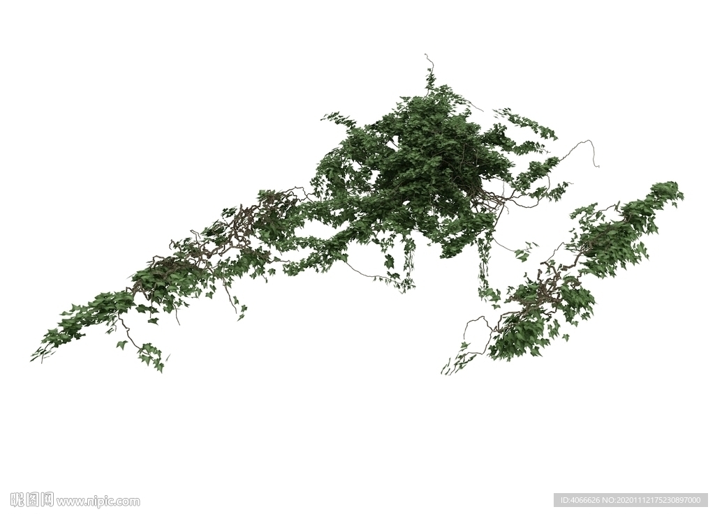藤蔓3d模型