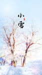 白色简洁小雪节气24节气闪屏