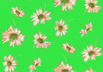 碎花菊花