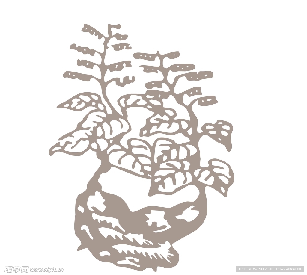 中药药材