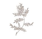 药材草本