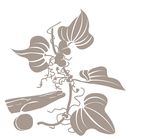 中药材