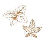 药草