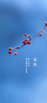 霜降节气海报