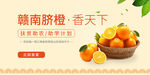 赣南脐橙电商海报Banner
