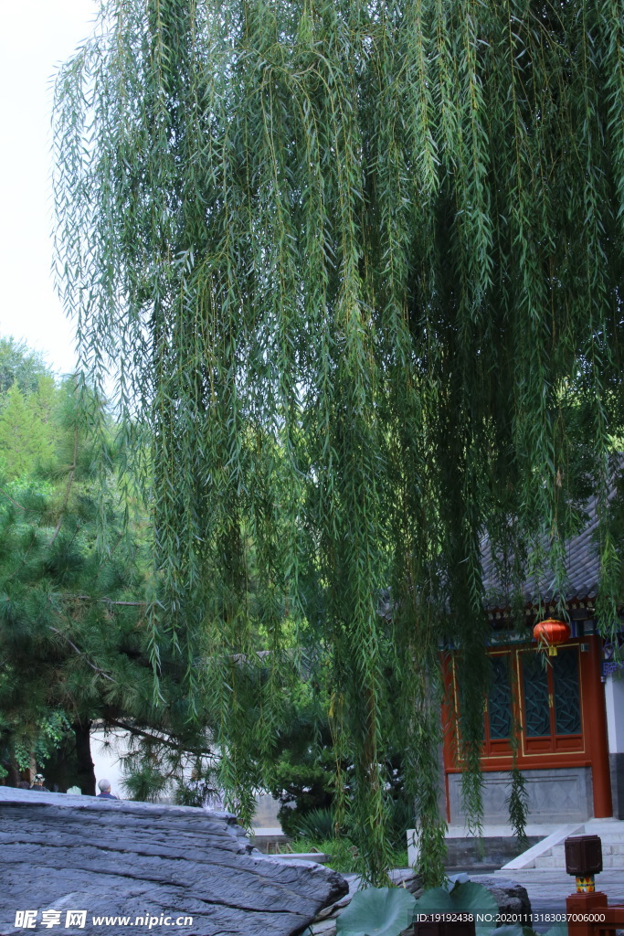 园林风景