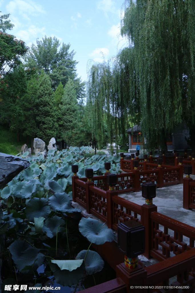 园林风景