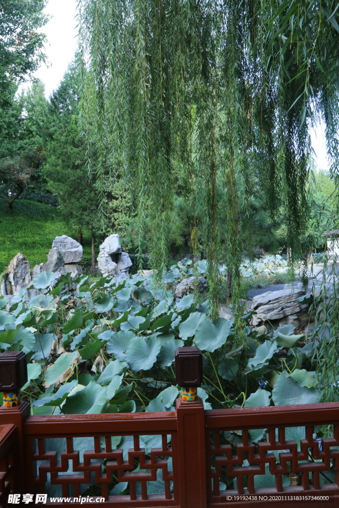 园林风景