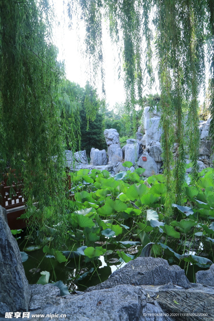园林风景