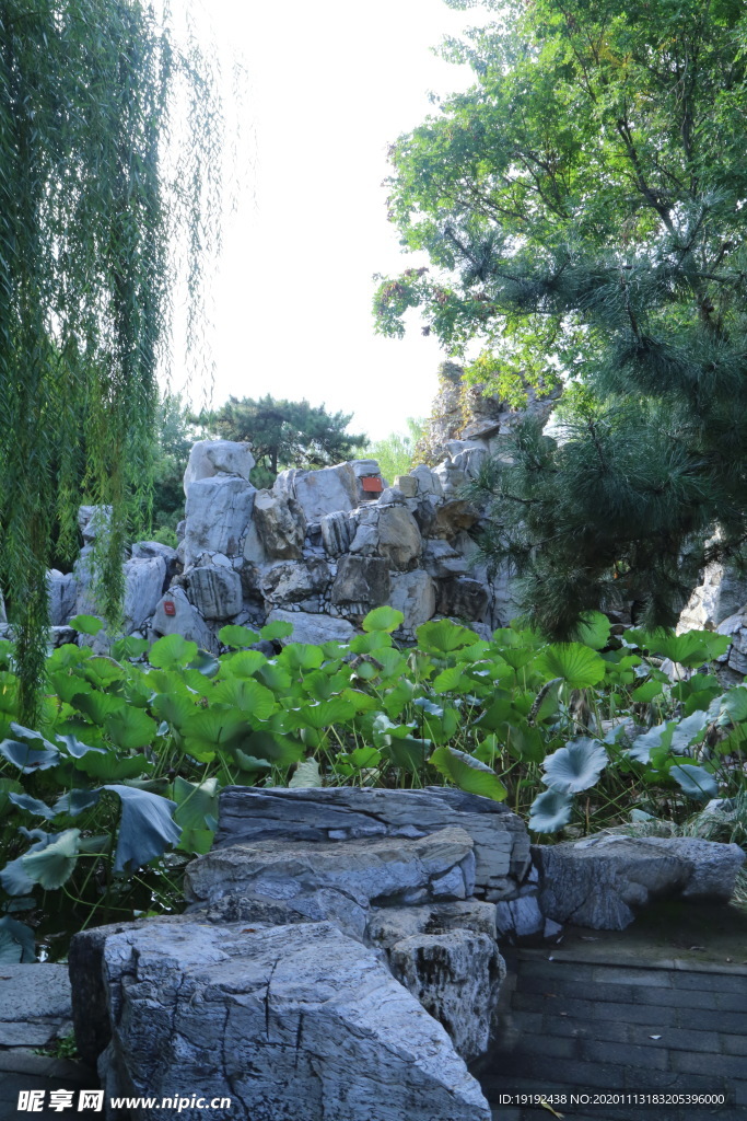 园林风景