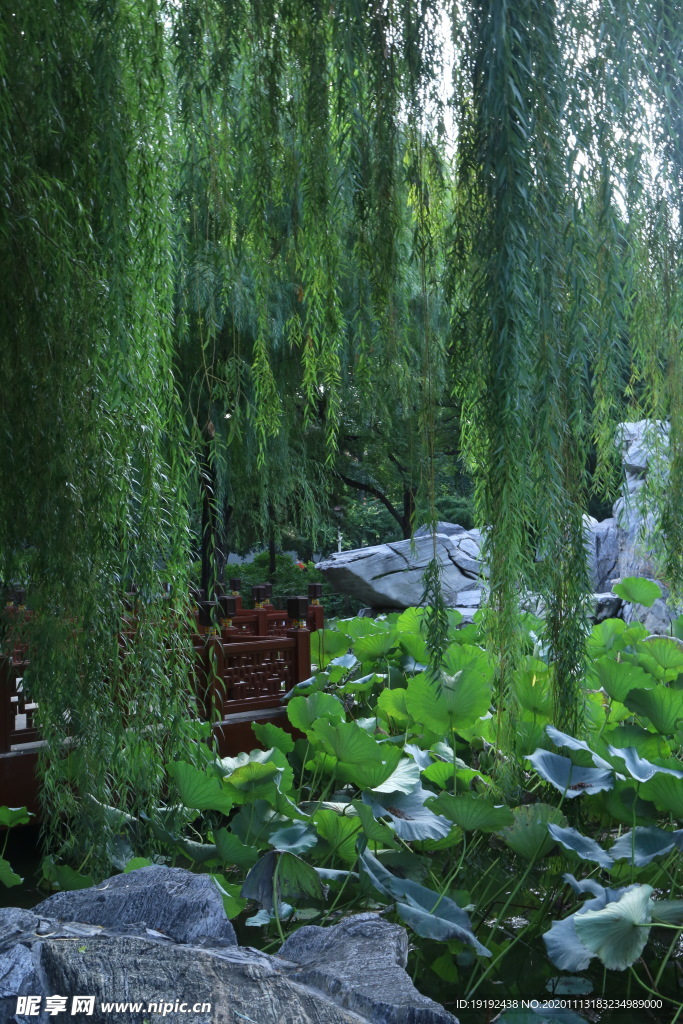 园林风景