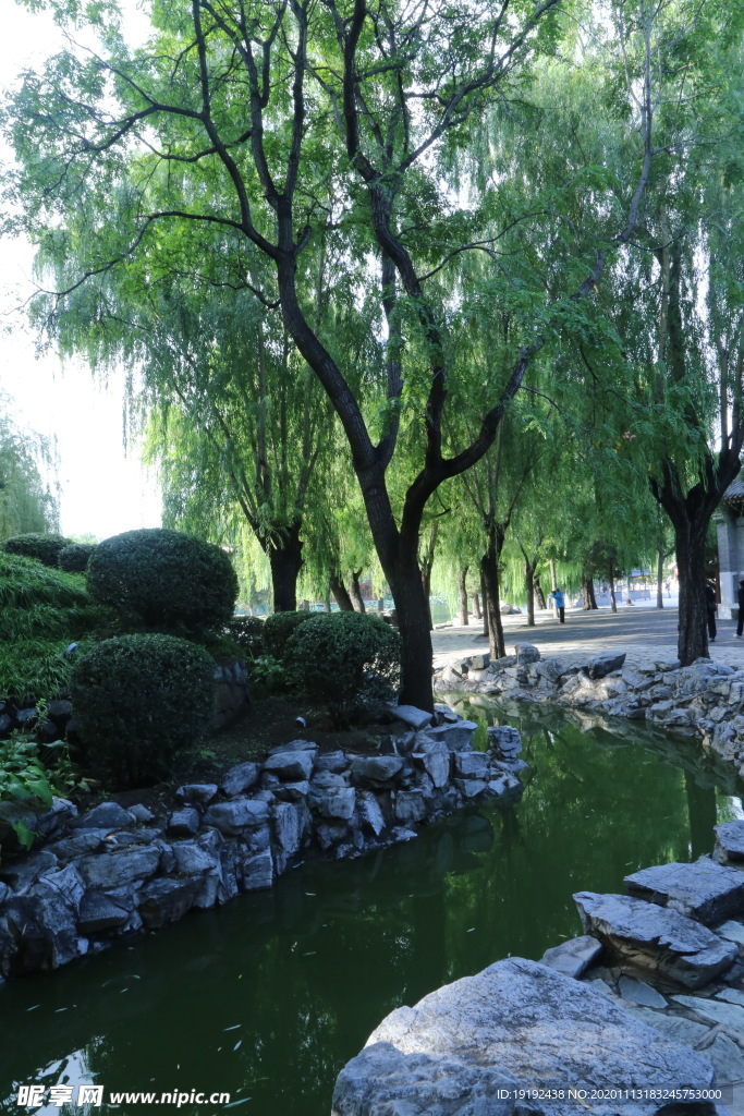 园林风景