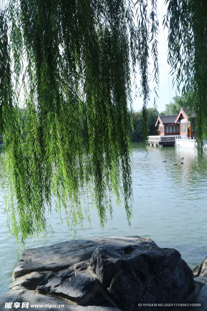 园林风景