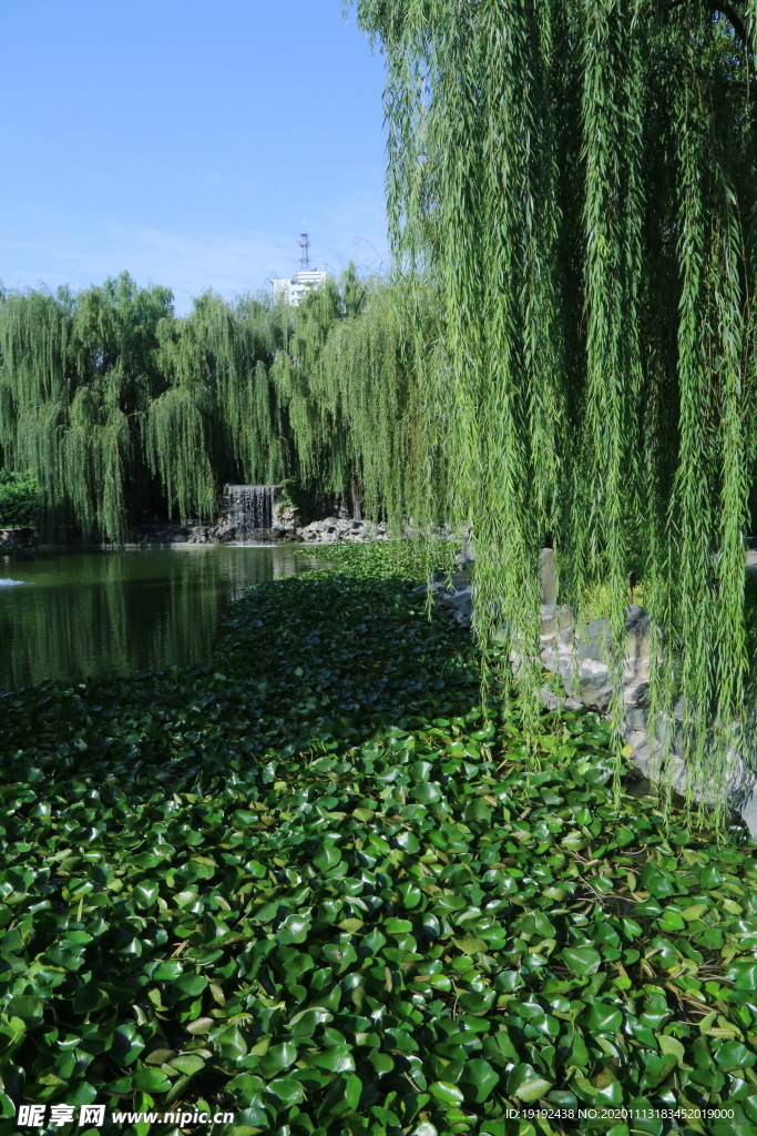 园林风景