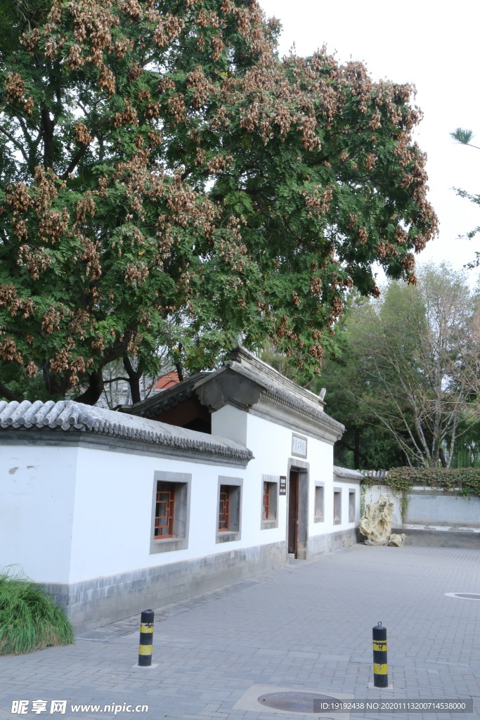 园林风景