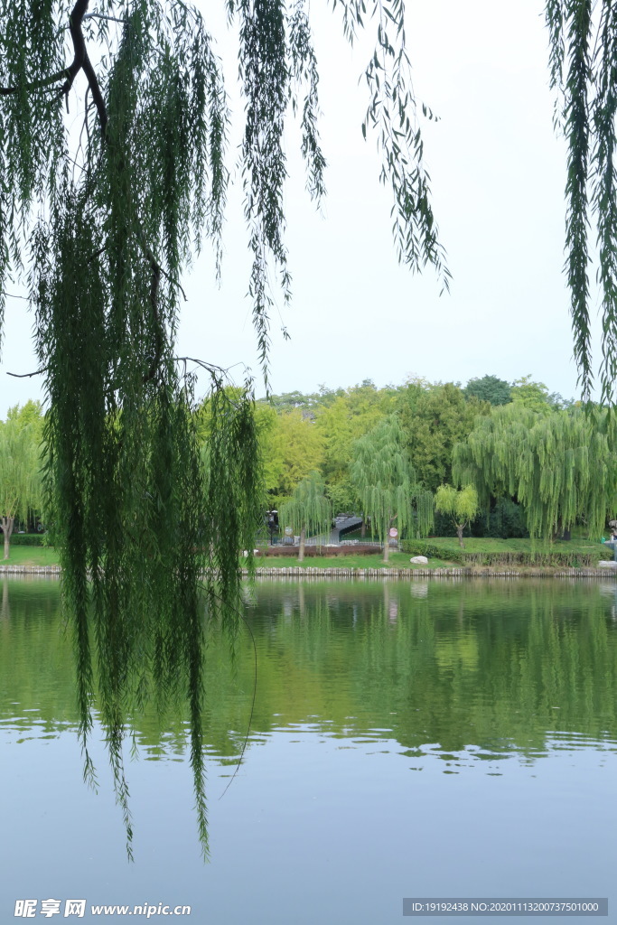 园林风景