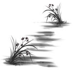 白花元素