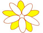 花朵
