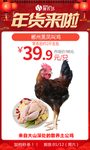 年货郴州黑凤叫鸡