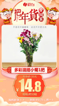年货秒杀多彩混搭小菊1把