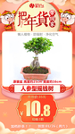 年货秒杀人参型摇钱树