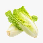 白菜