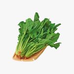 波菜
