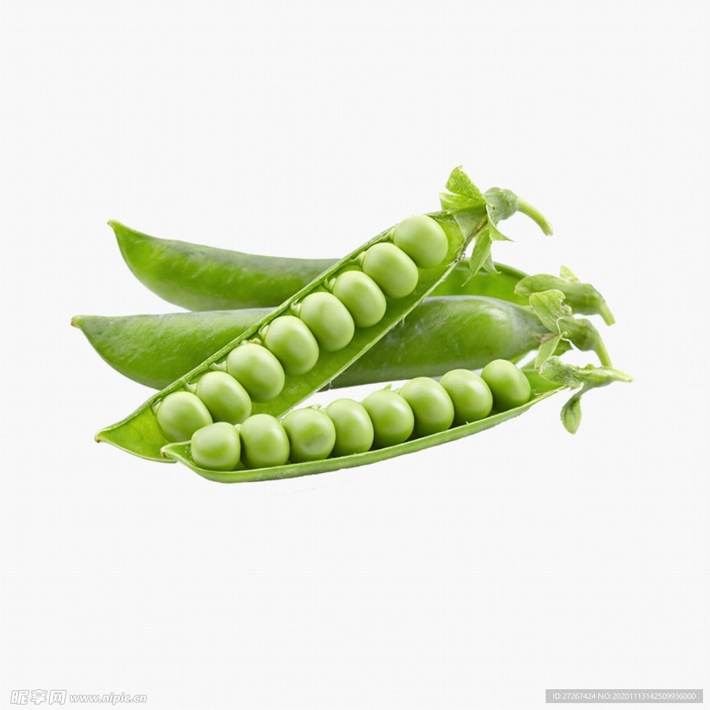 豌豆