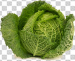 包菜