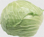 包菜
