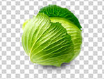 包菜