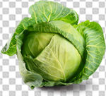 包菜