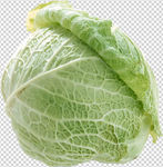 包菜