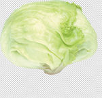 包菜