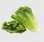生菜