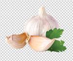 蒜
