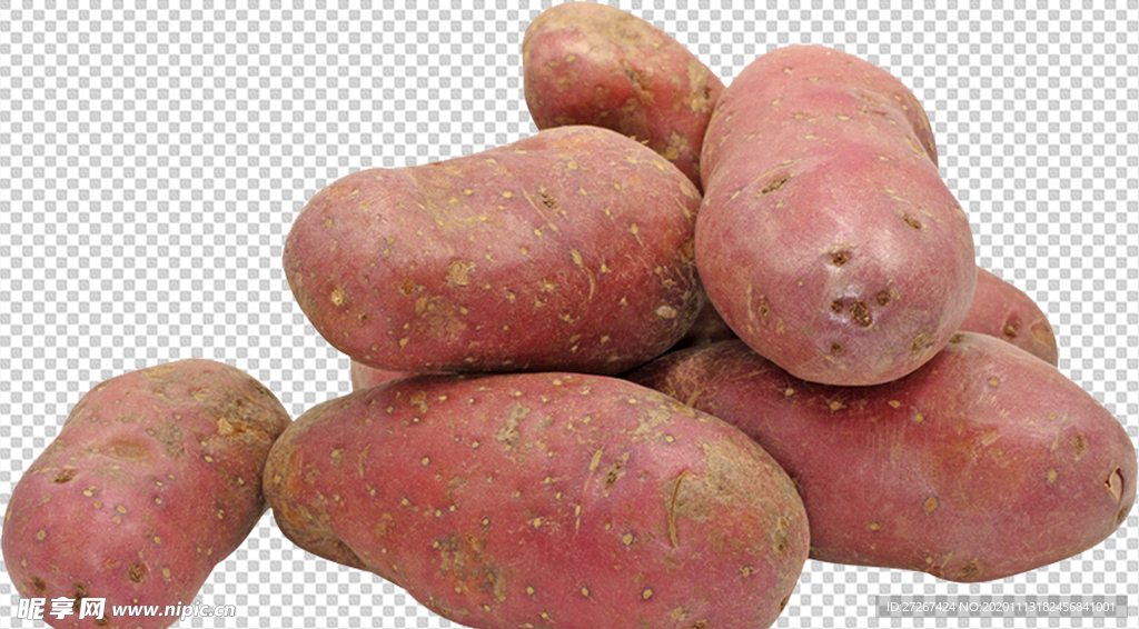 红薯