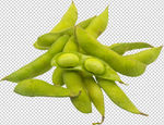 毛豆