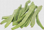四季豆