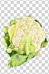 花菜