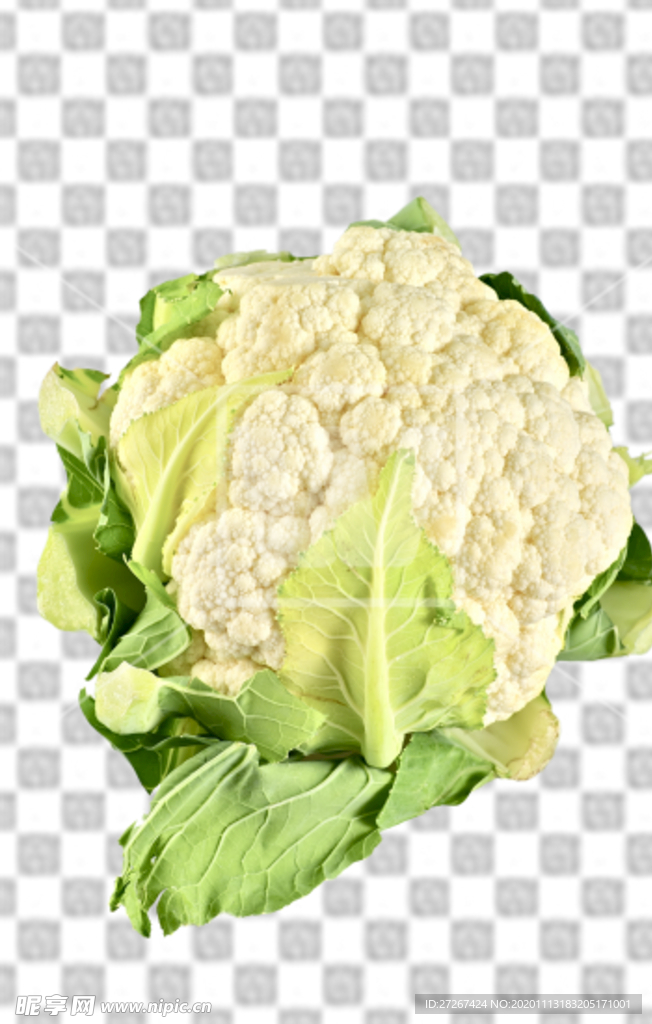 花菜