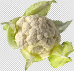 花菜