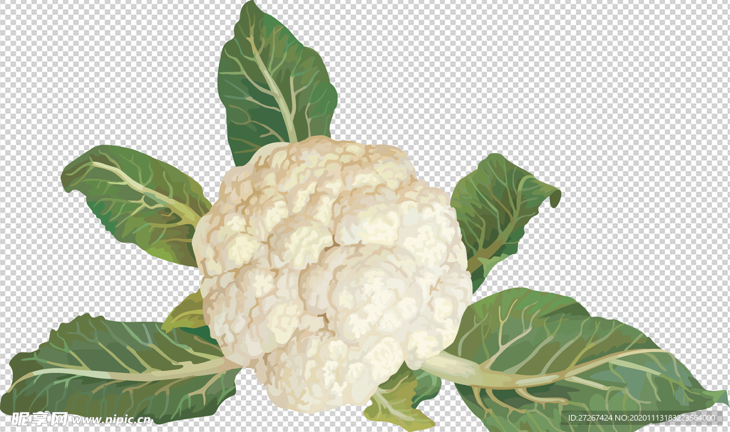 花菜