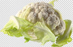 花菜