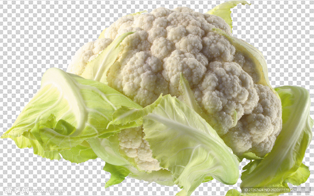 花菜