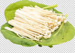 金针菇