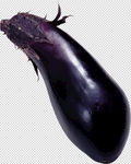 茄子